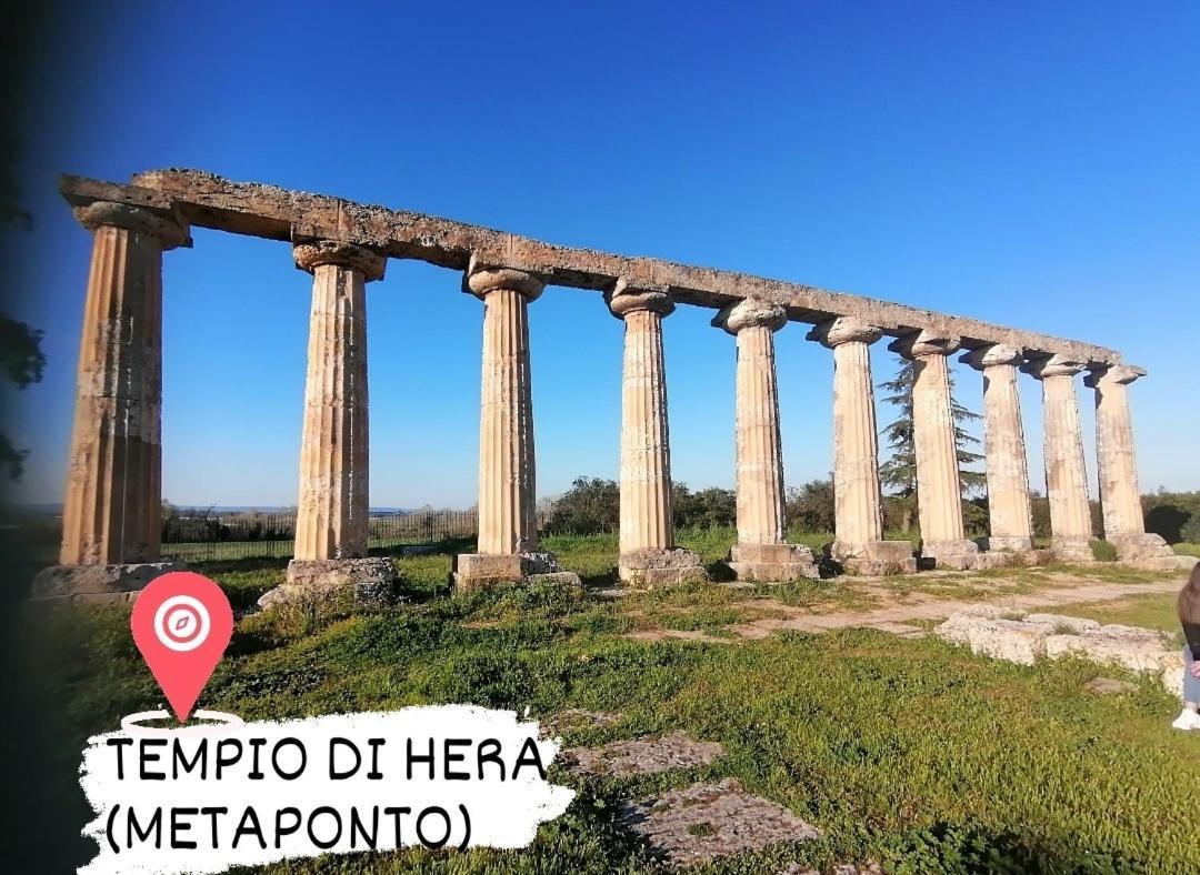 Apartamento Dimora Helianthus Salandra Exterior foto